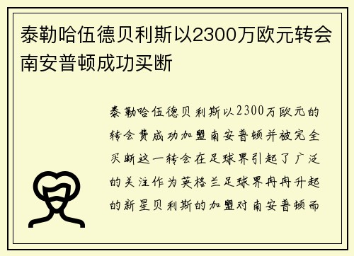 泰勒哈伍德贝利斯以2300万欧元转会南安普顿成功买断
